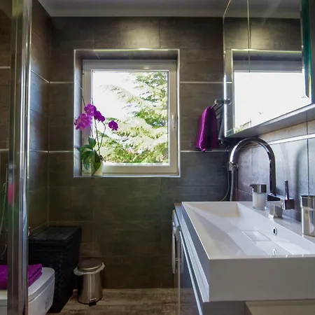 Eli Apartment Labin (Istria)